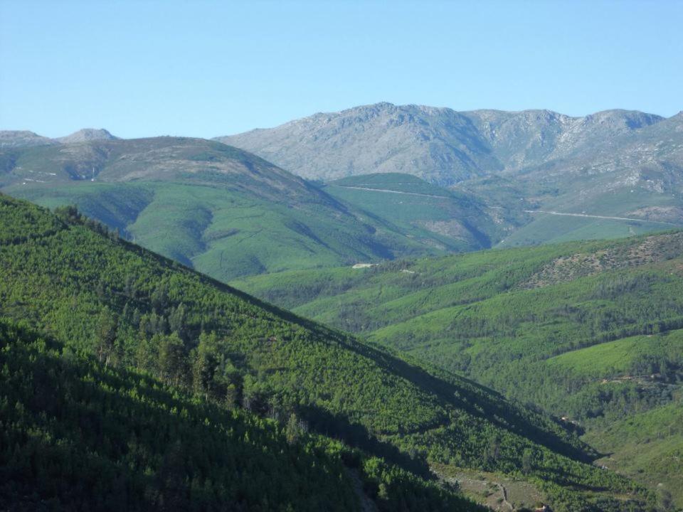 Pedras Lavradas Teixeira de Baixo ภายนอก รูปภาพ